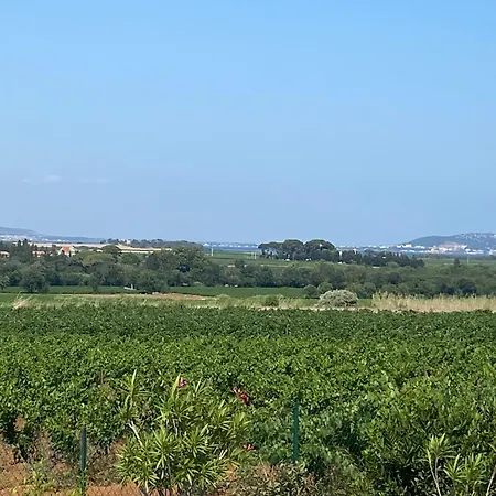 Magnifique Individuelle Climatisee 4 Avec Piscine 11 M 5m Villa Sérignan
